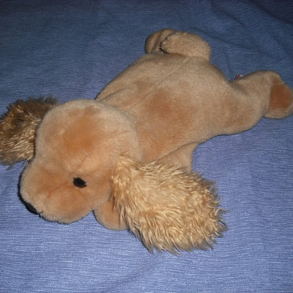TY The Beanie Buddies Collection 2001 Spunky Puppy Dog Used
